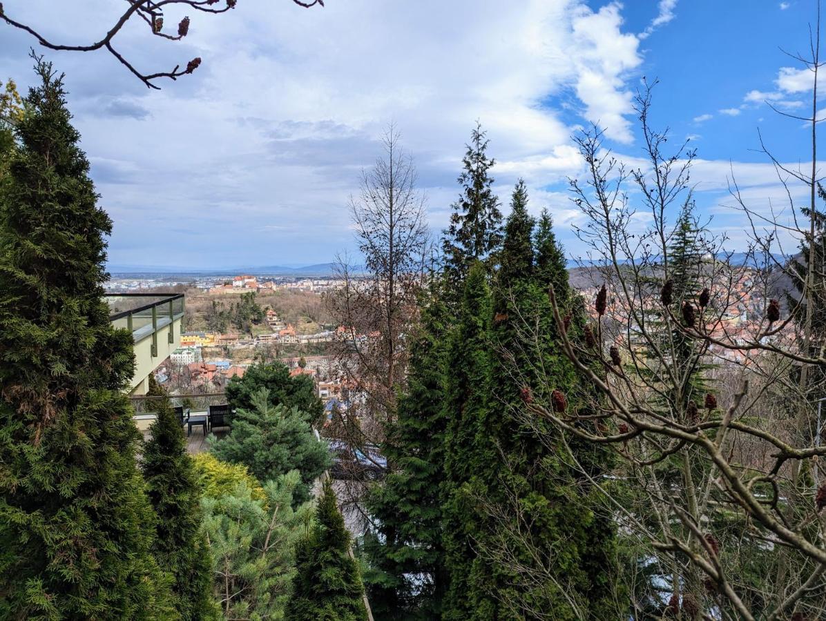 Studio 14 Brasov Ngoại thất bức ảnh
